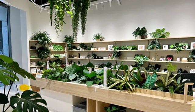 维护方法：地区物流方案的优化与发展趋势
